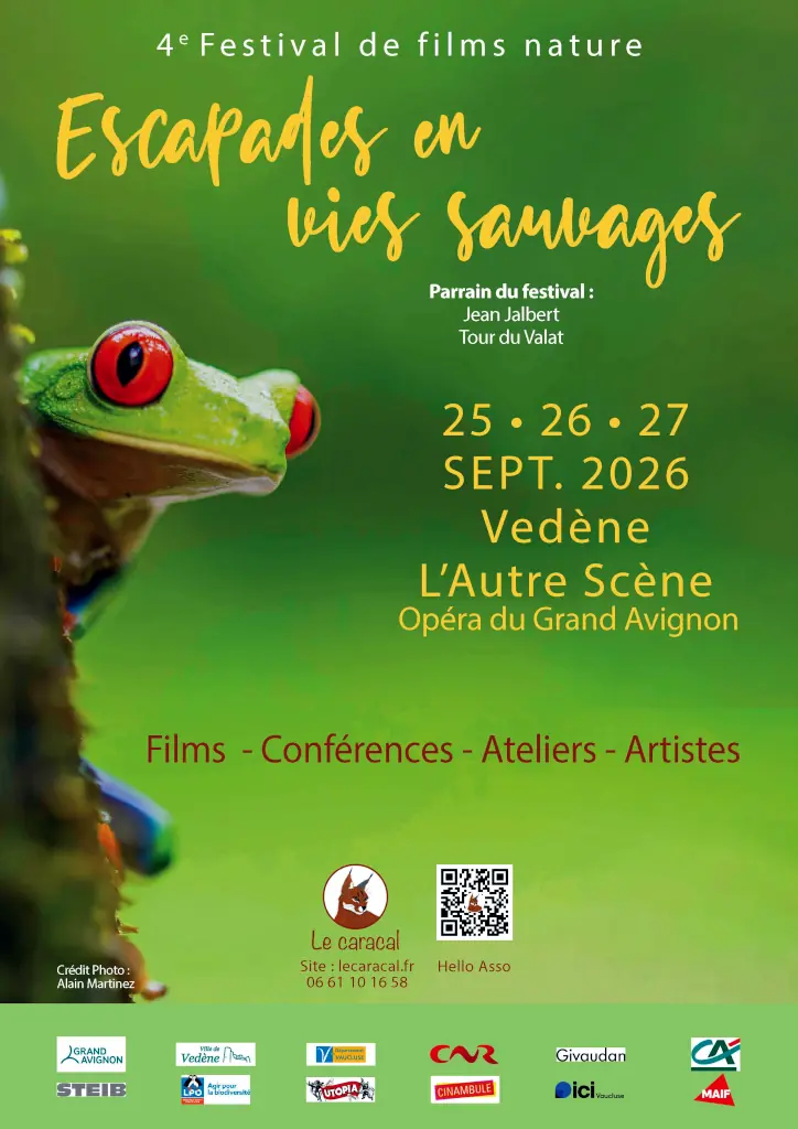 grenouille exotique aux yeux rouges