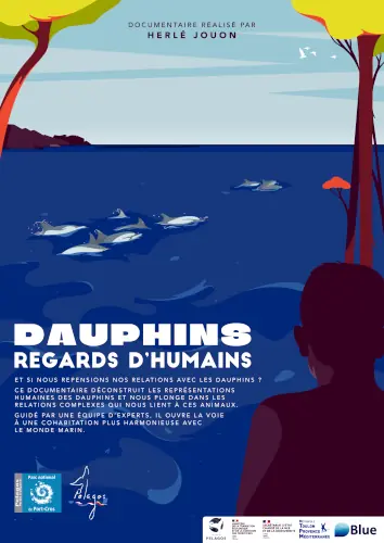 affiche du film animalier Dauphins regards d'humains