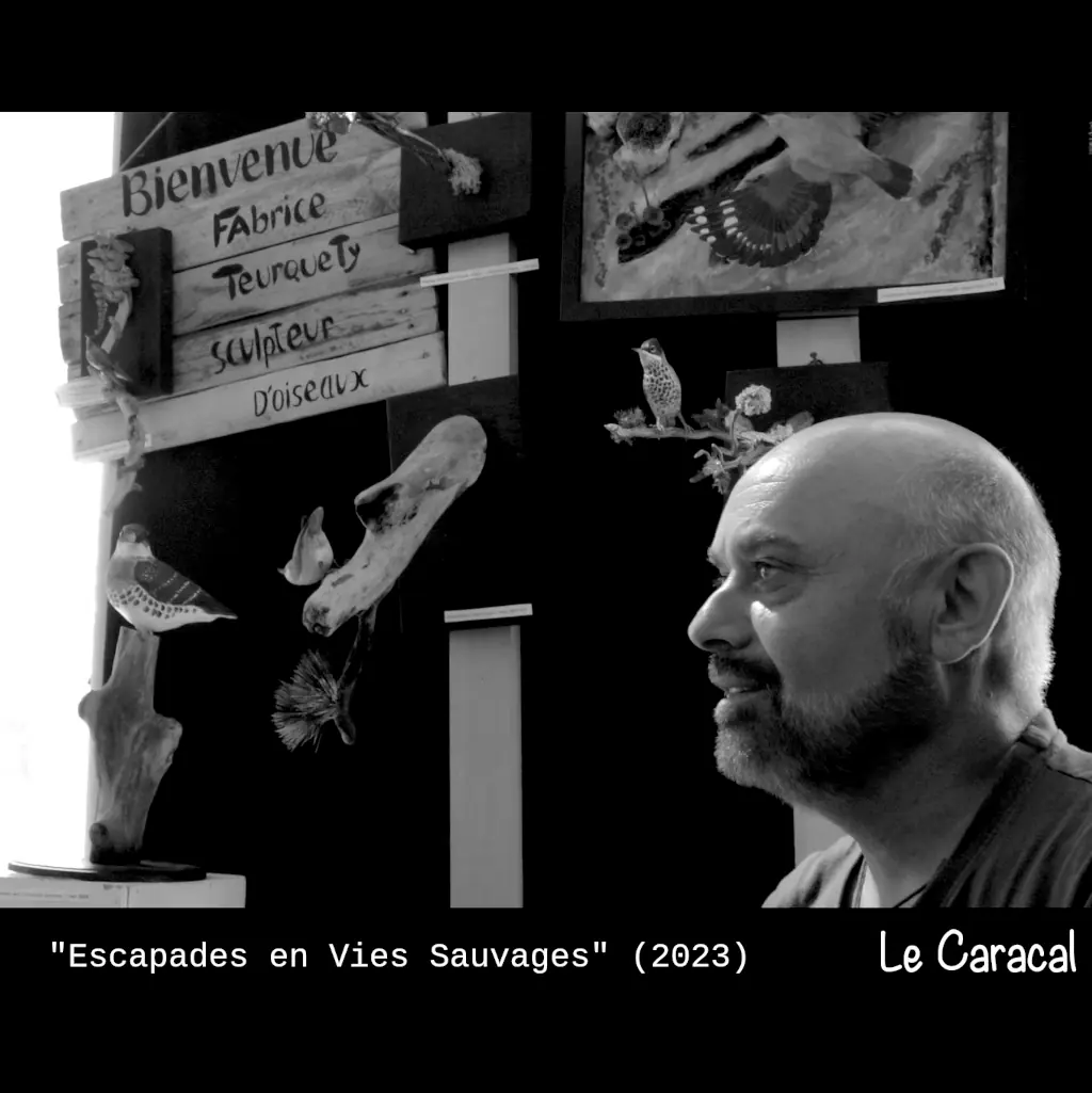 Fabrice Teurquety sculpteur d'oiseaux