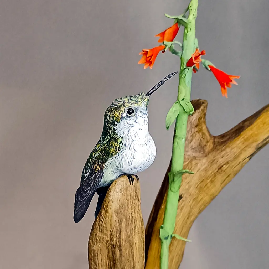 petit oiseau exotique sur une branche