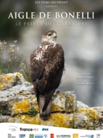 affiche du film-nature "Aigle de Bonelli"
