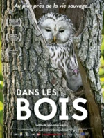 Affiche du film animalier : "Dans les bois"