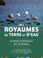 affiche du film-nature "Des royaumes de terre & d'eau - Le parc espagnol de Donana"