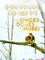 affiche du film-nature "Les singes dorés du Hubei"
