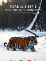 affiche du film-nature "Tigre de Sibérie, seigneur sans frontières"