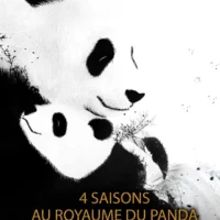 affiche du film animalier 4 saisons au royaume du panda