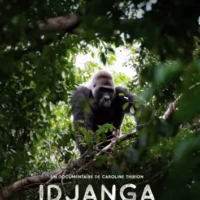 affiche du film animalier Idjanga la forêt aux gorilles