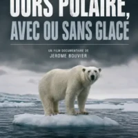 affiche du film animalier Ours polaire, avec ou sans glace