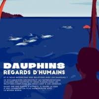 affiche du film animalier Dauphins regards d'humains
